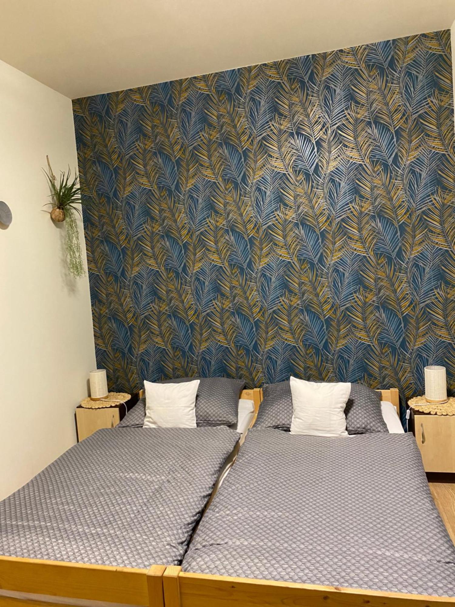 Takacs Vendeghaz Apartment Sopron Exterior photo